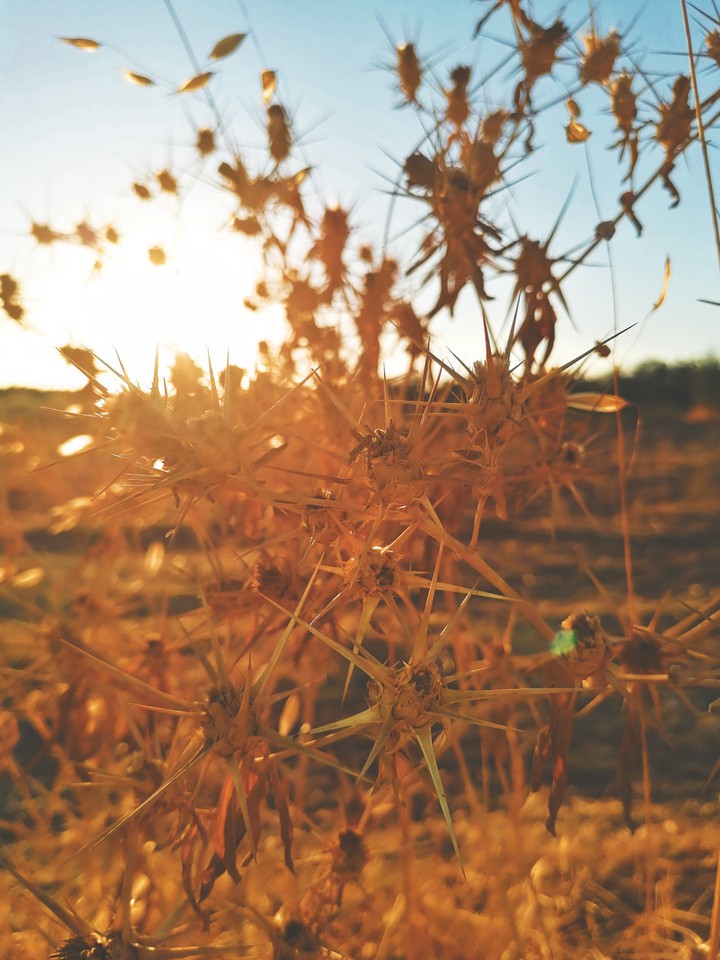 behind the sun