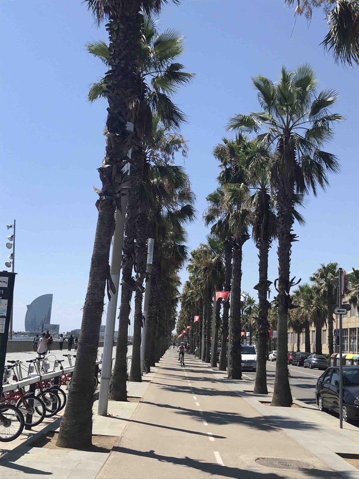 Barcelona