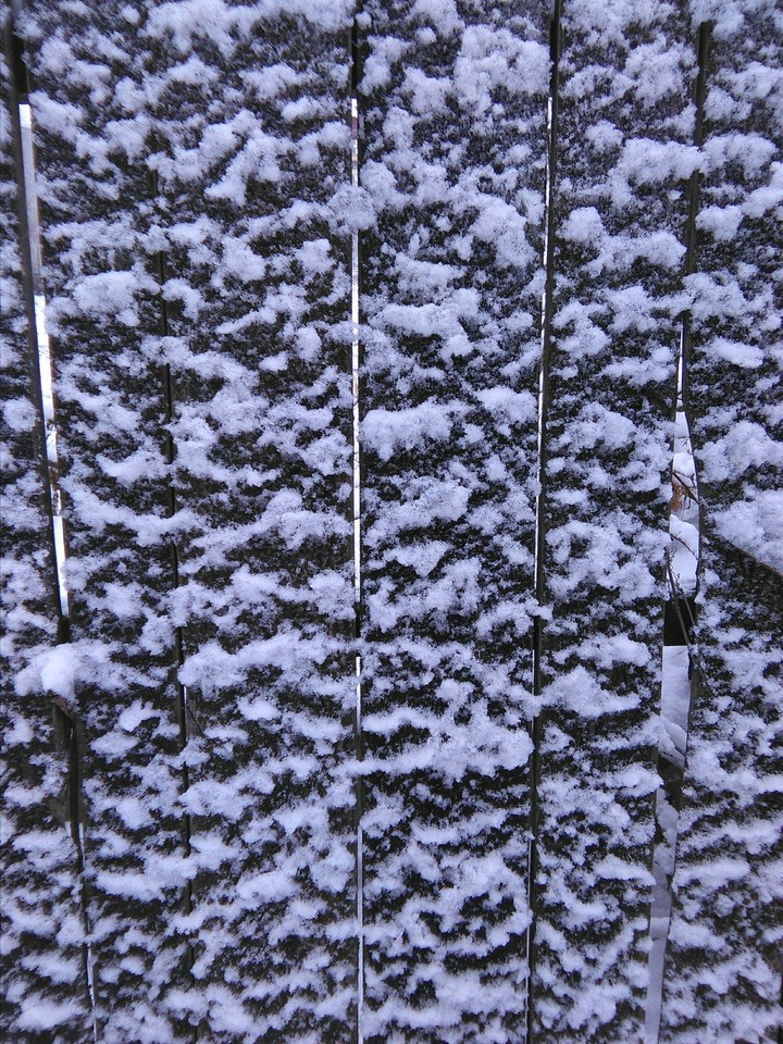 Magic winter