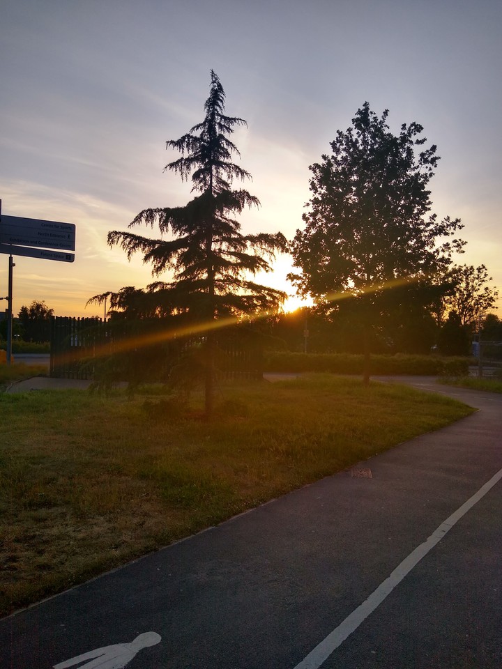 Sunset