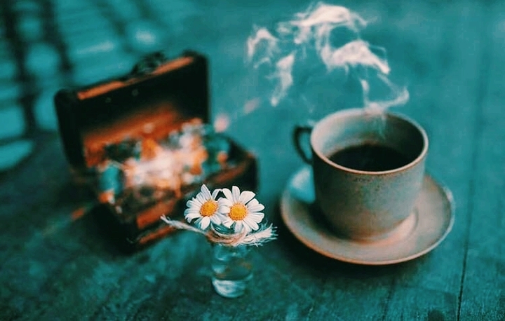 do you like daisies?