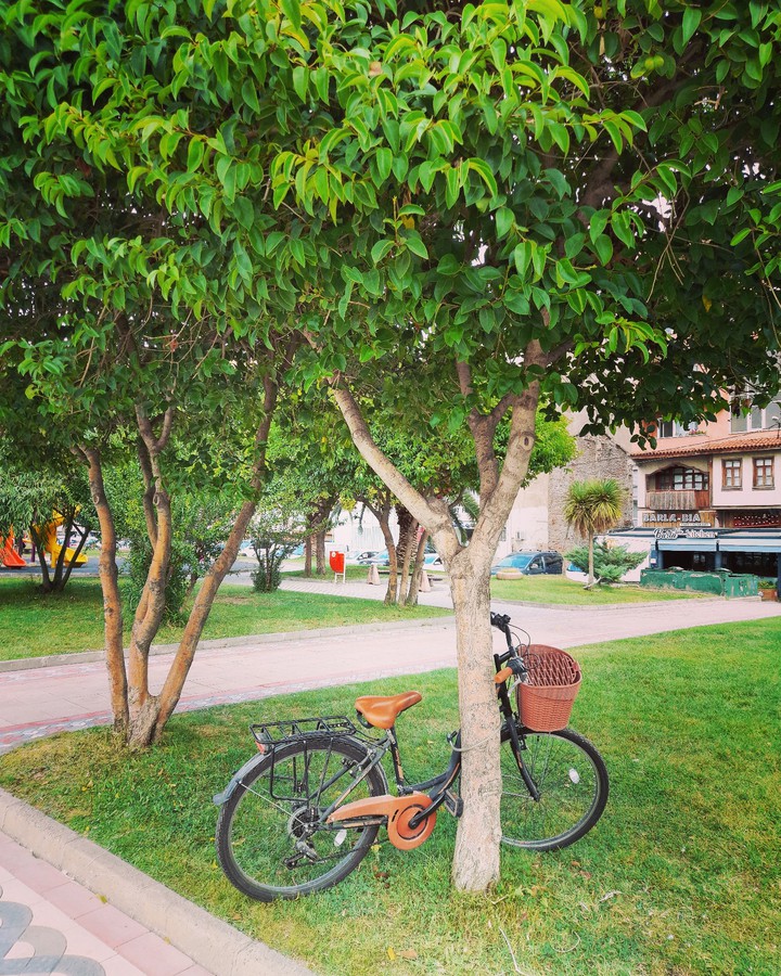 My bicycle