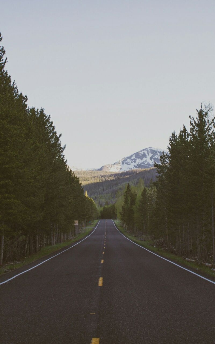 Estrada