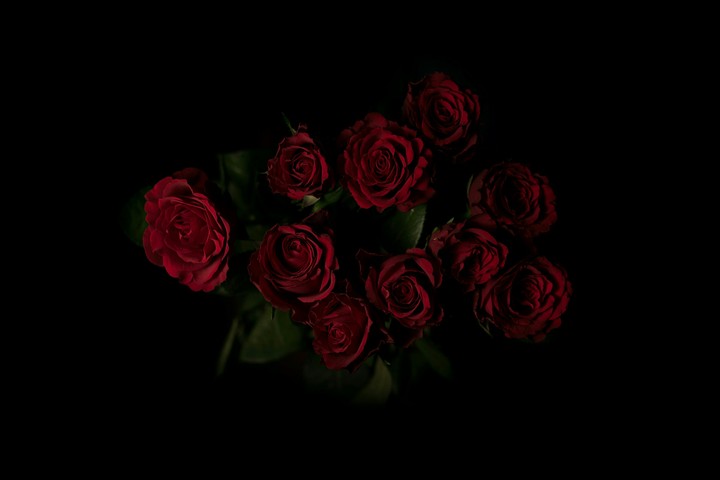 rose