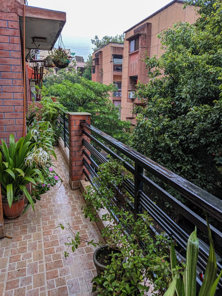 On a rainy day