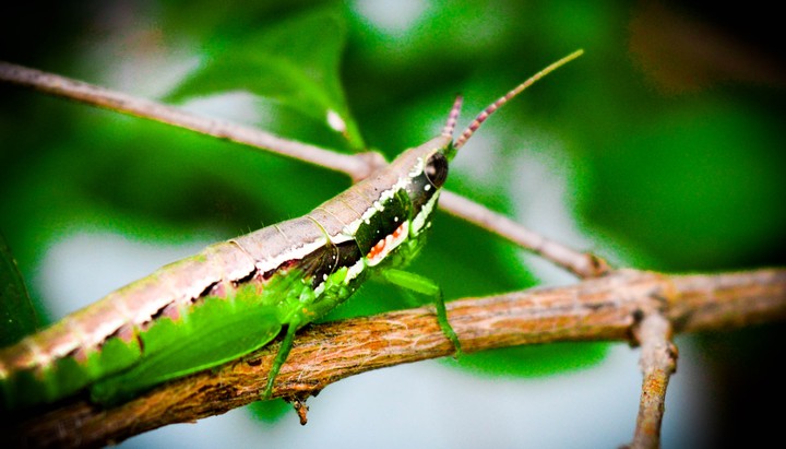 may be its also nature beauty.....