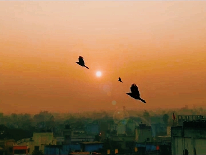 Sunrise