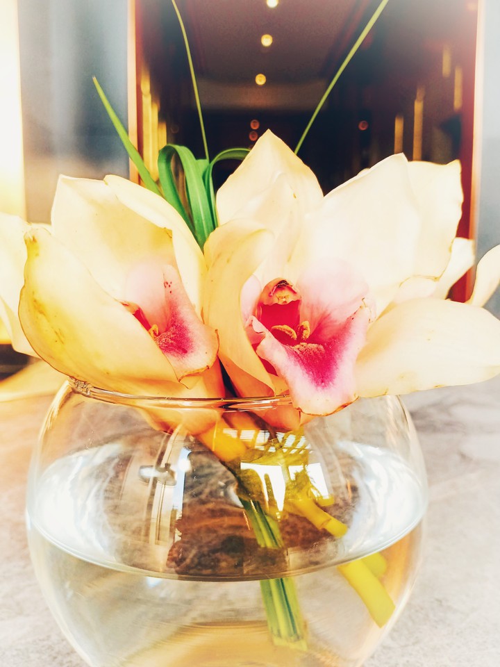 flower bloom