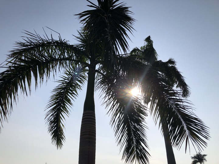 Sun