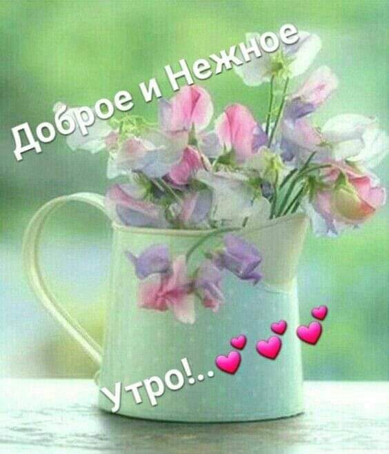 умиротворение!