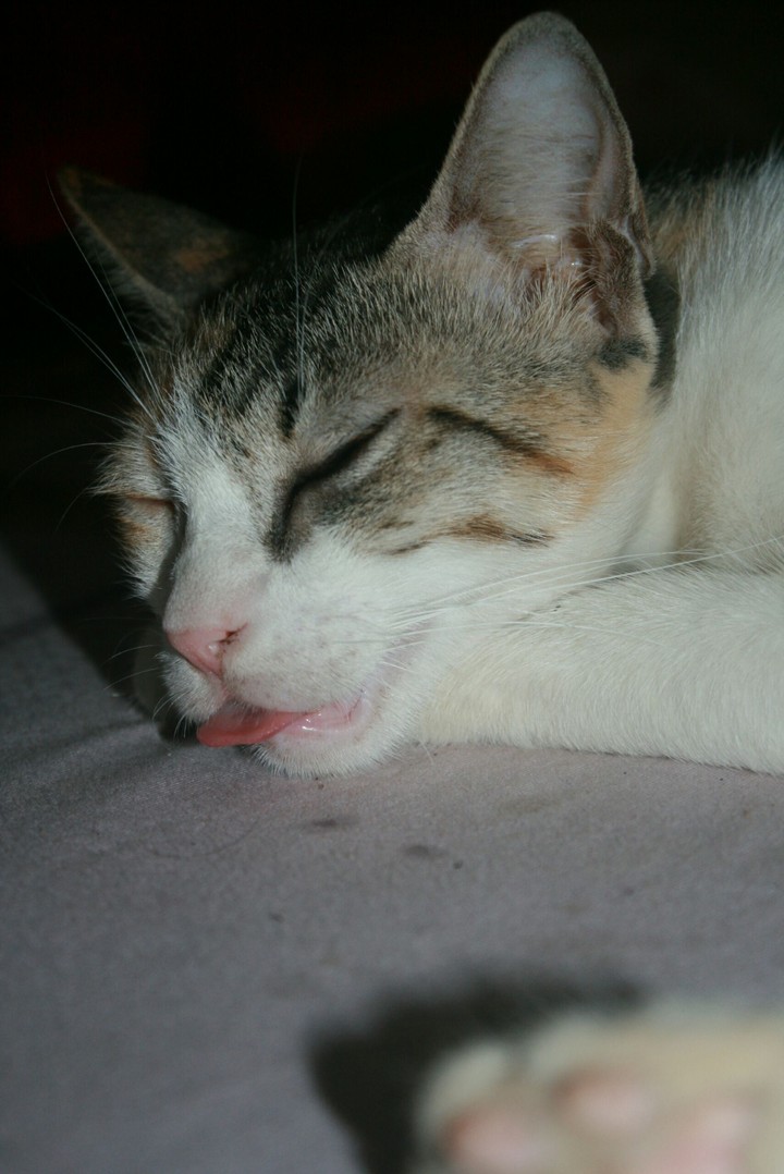 sleepy