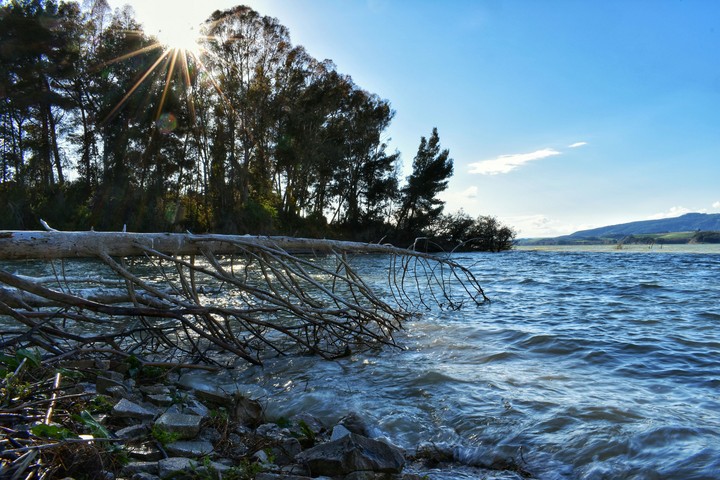 The Lake