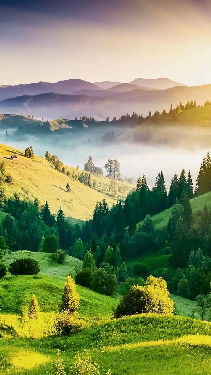 Nice