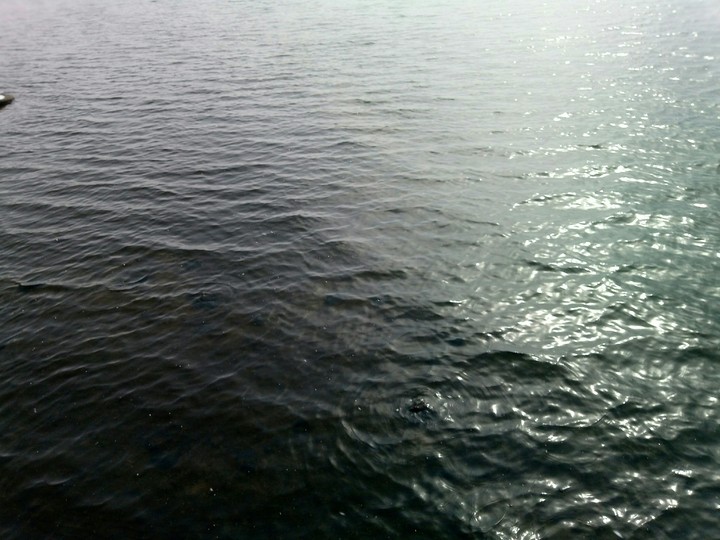 Black water
