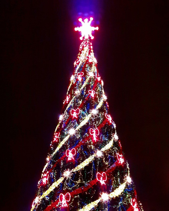 Christmas tree