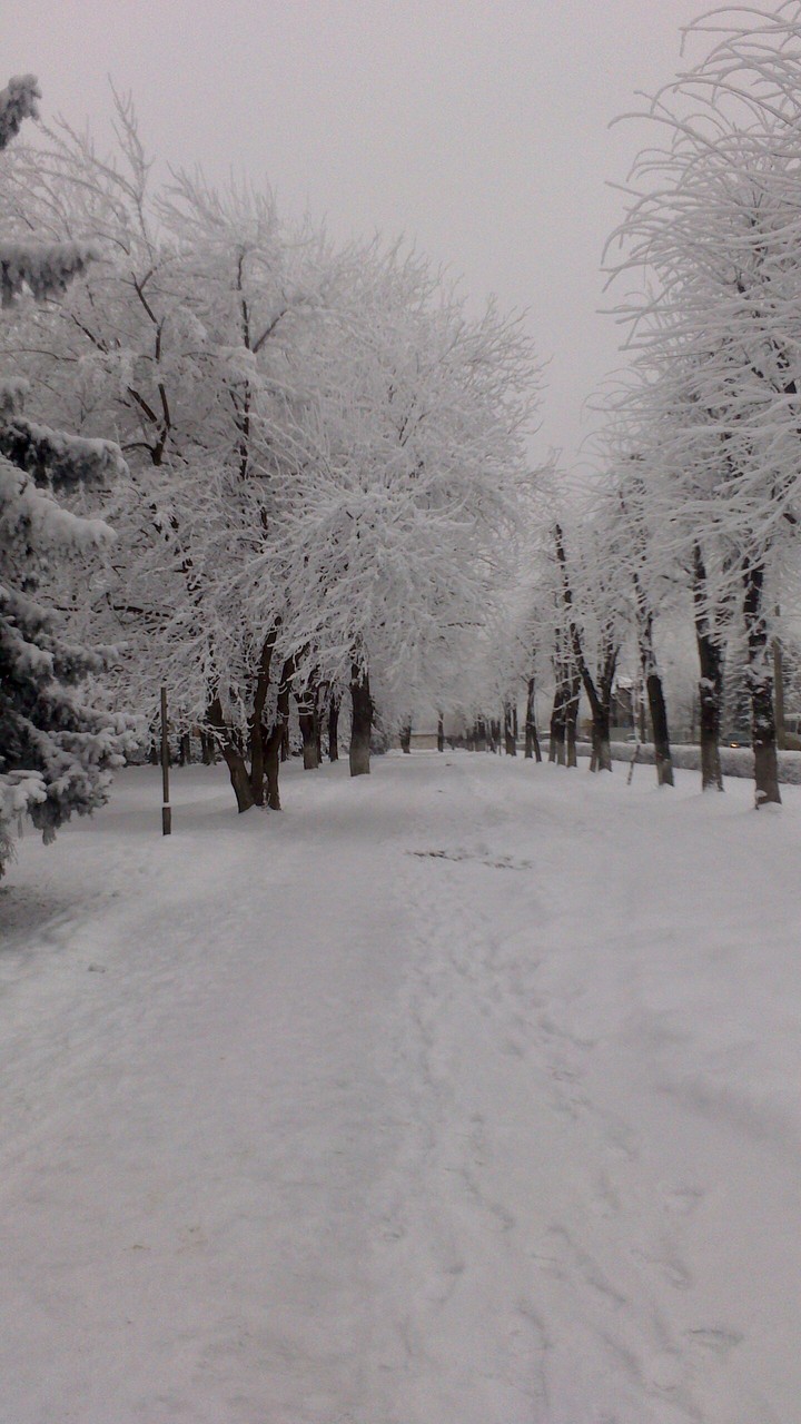 winter evening