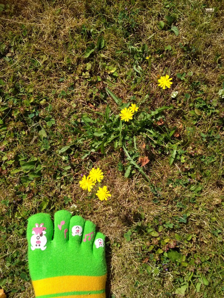 spring time