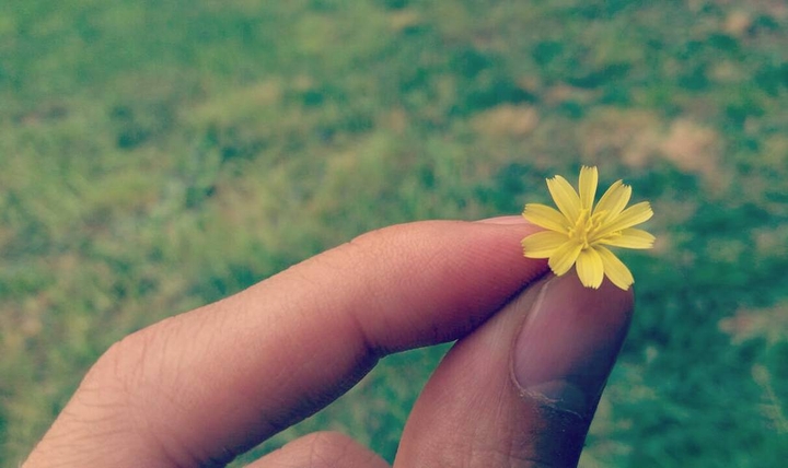 TINY FLOWER
