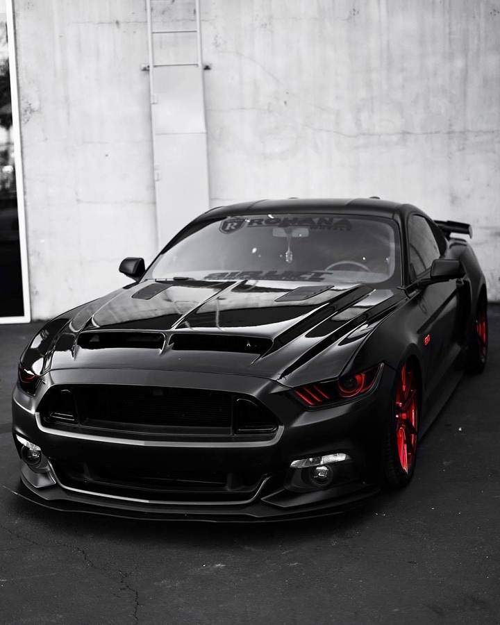 Mustang