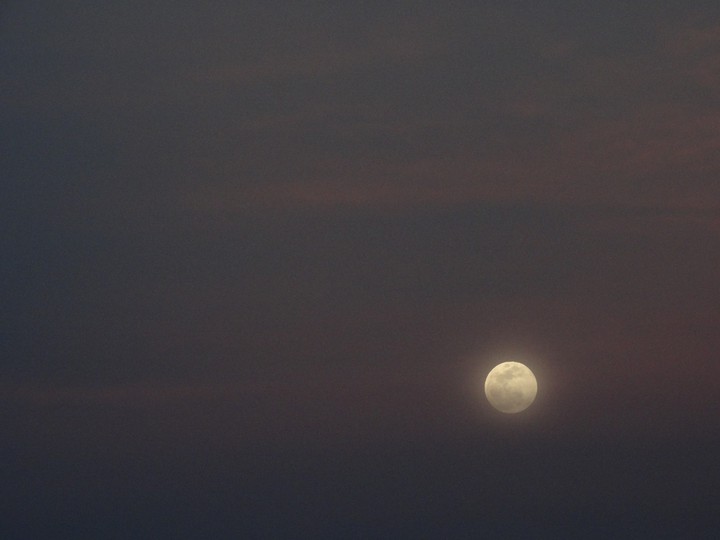 luna