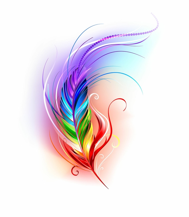 colourful feather