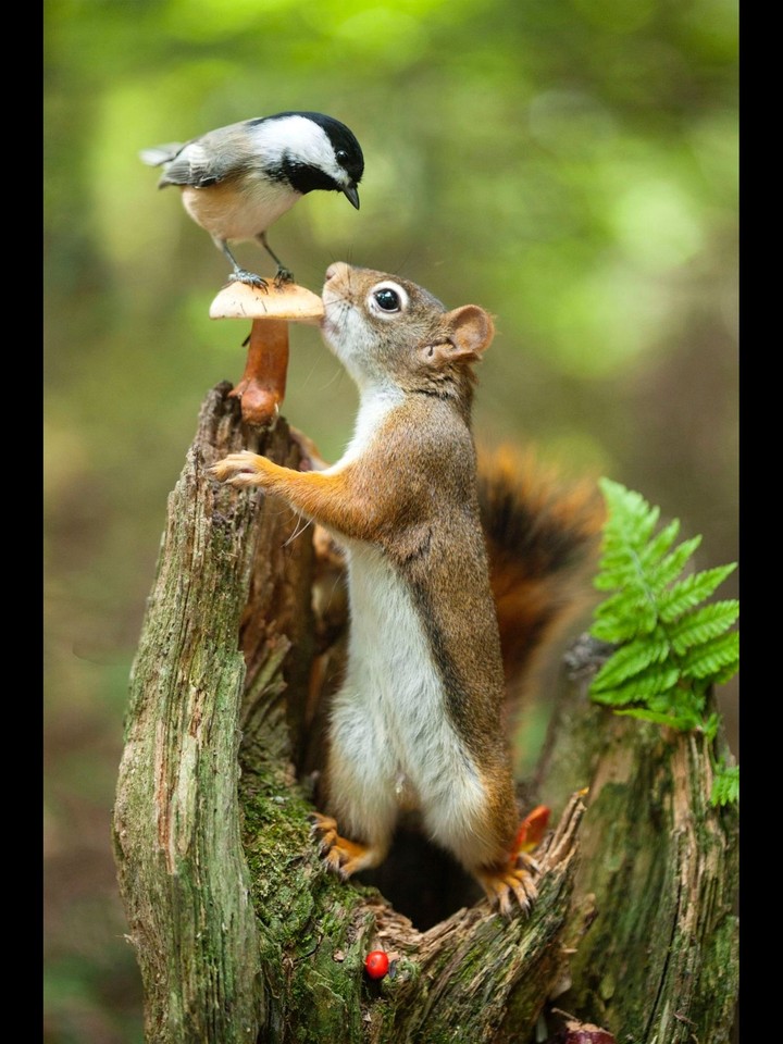 Friends