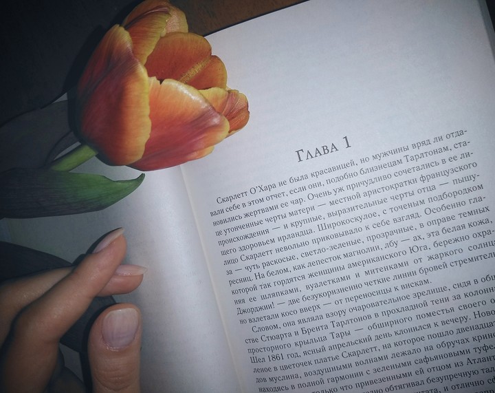 книга