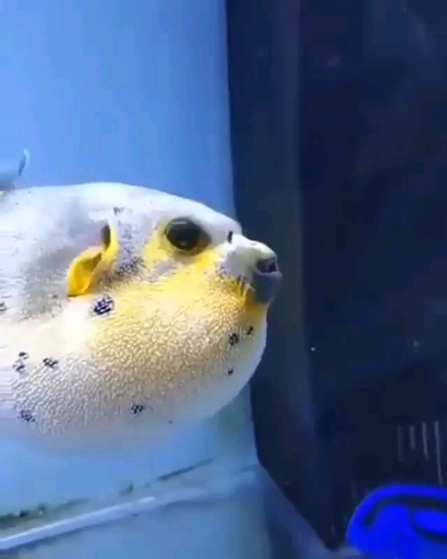 ♥️♥️♥️