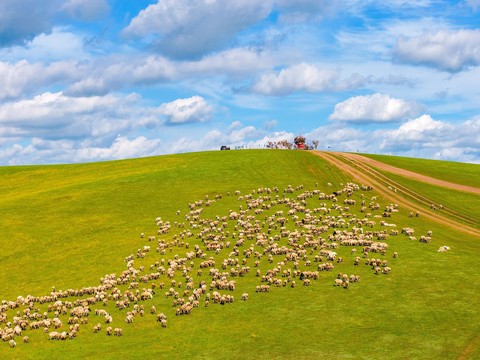 fonds d'écran Field, pasture