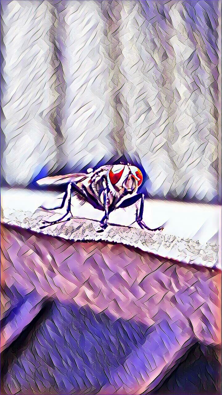 Edit