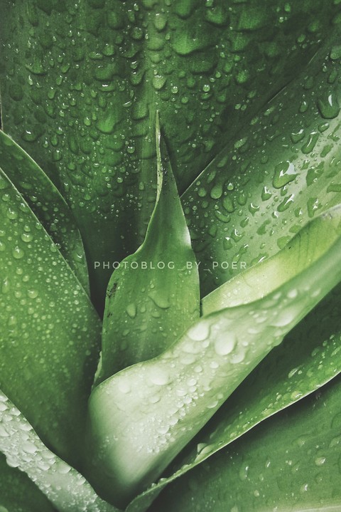 After the Rain