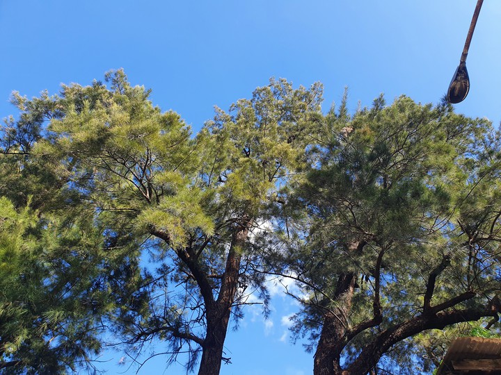 beautiful day
