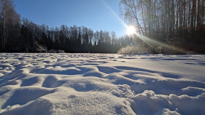 Winter sun