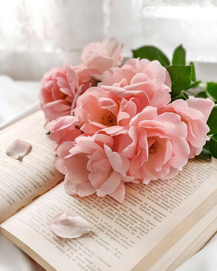 ✨ With Love, For You ❤