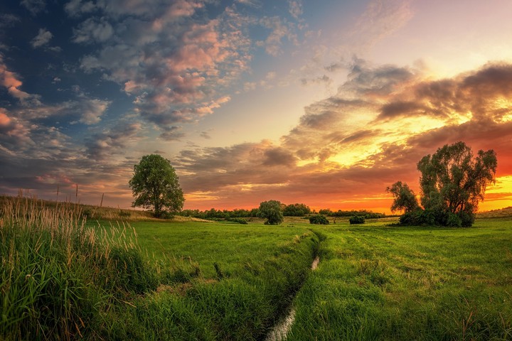 Nature's Beauty