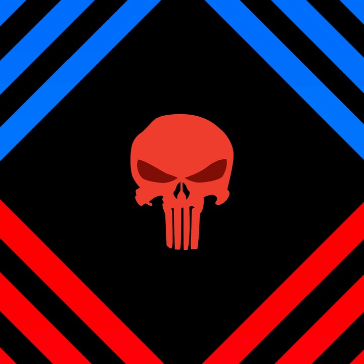 Punisher skull