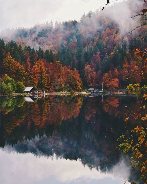 осень