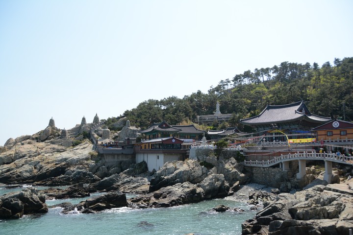 기장이미지