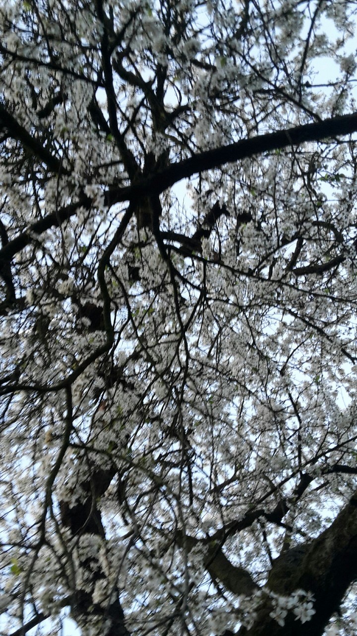 Endlich ist der Frühling da!