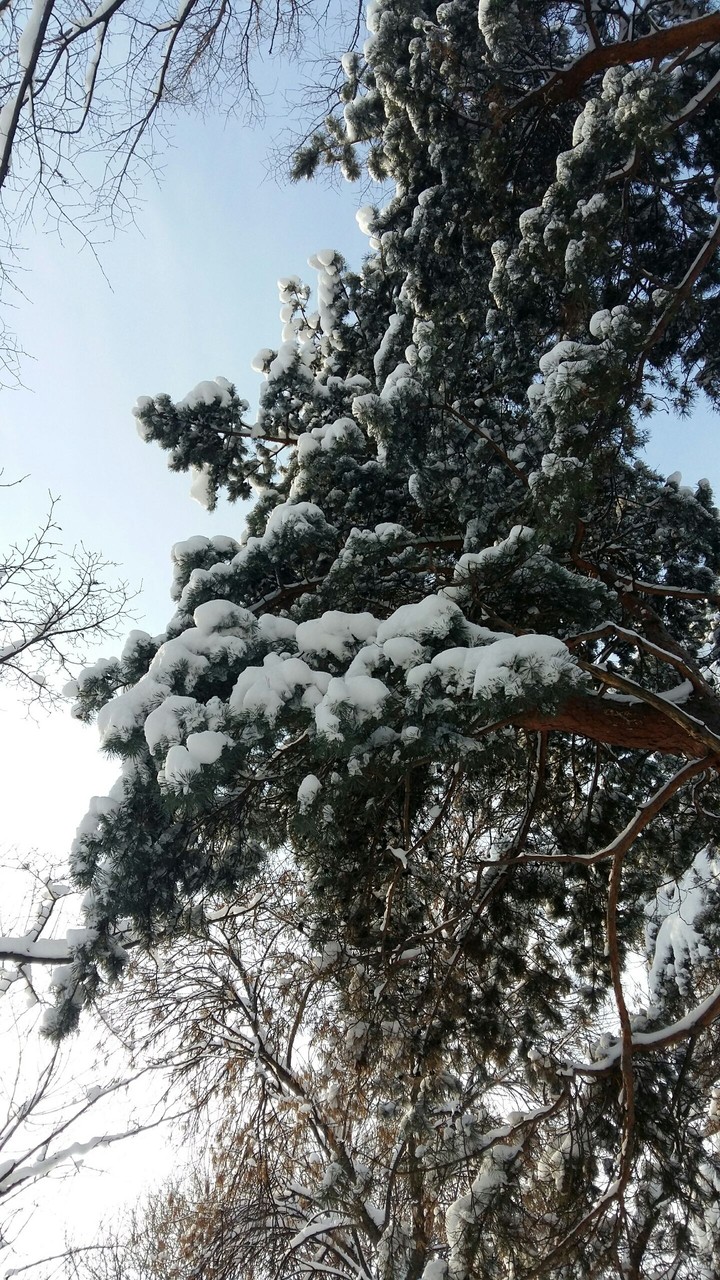 Winter