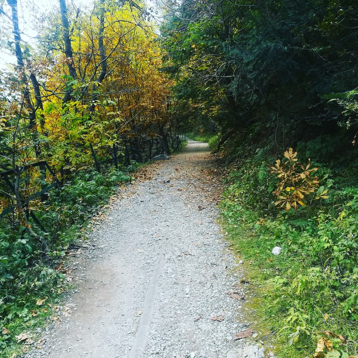 Track