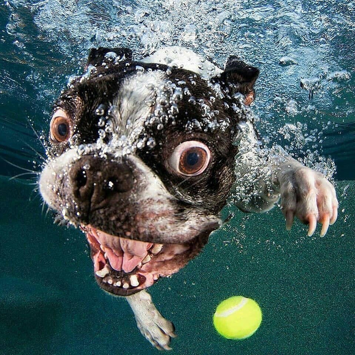 .