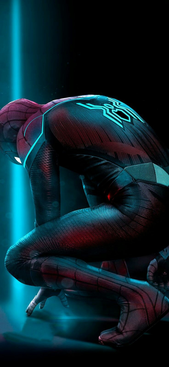 spider