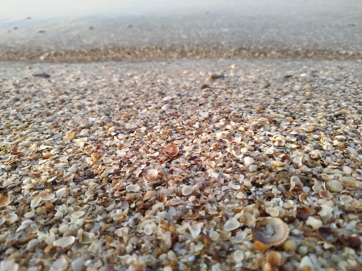 sea