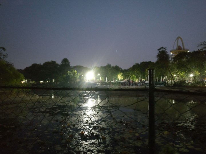 lights