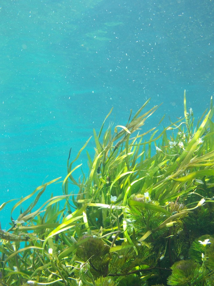 Under Water