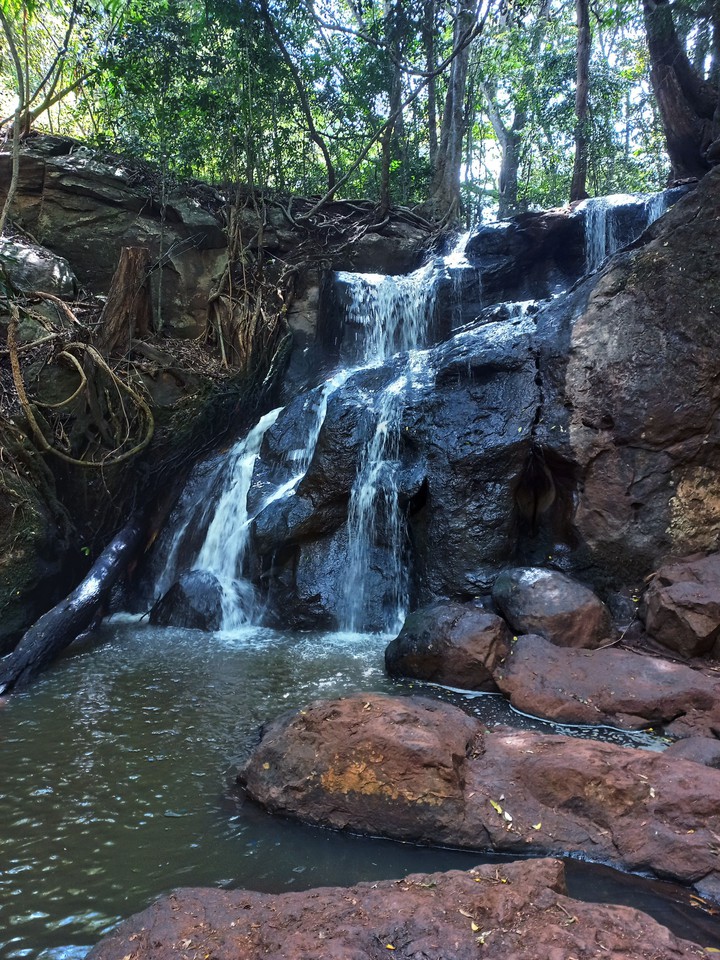 waterfall in the wild