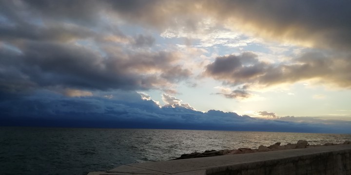 mare