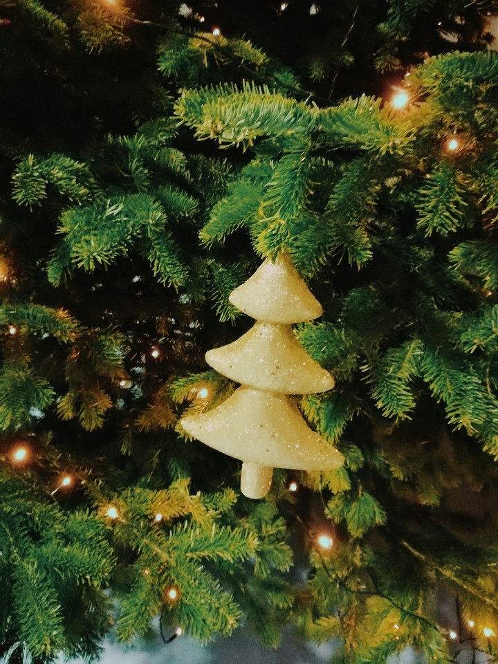 MERRY CHRISTMAS EVERYBODY!