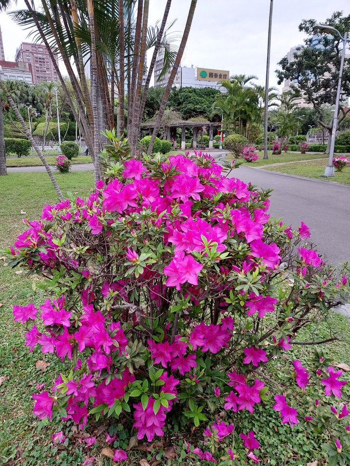 park